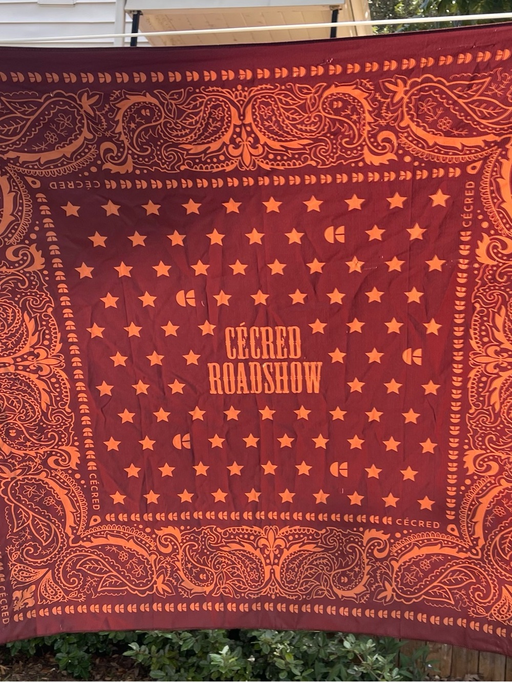 Cécred Roadshow Red Paisley Bandana Scarf, Beyoncé Cowboy Carter (pulls)